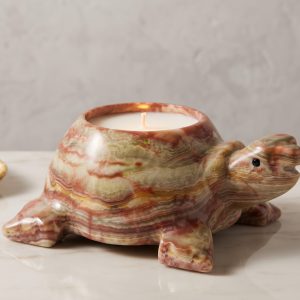 Onyx Turtle