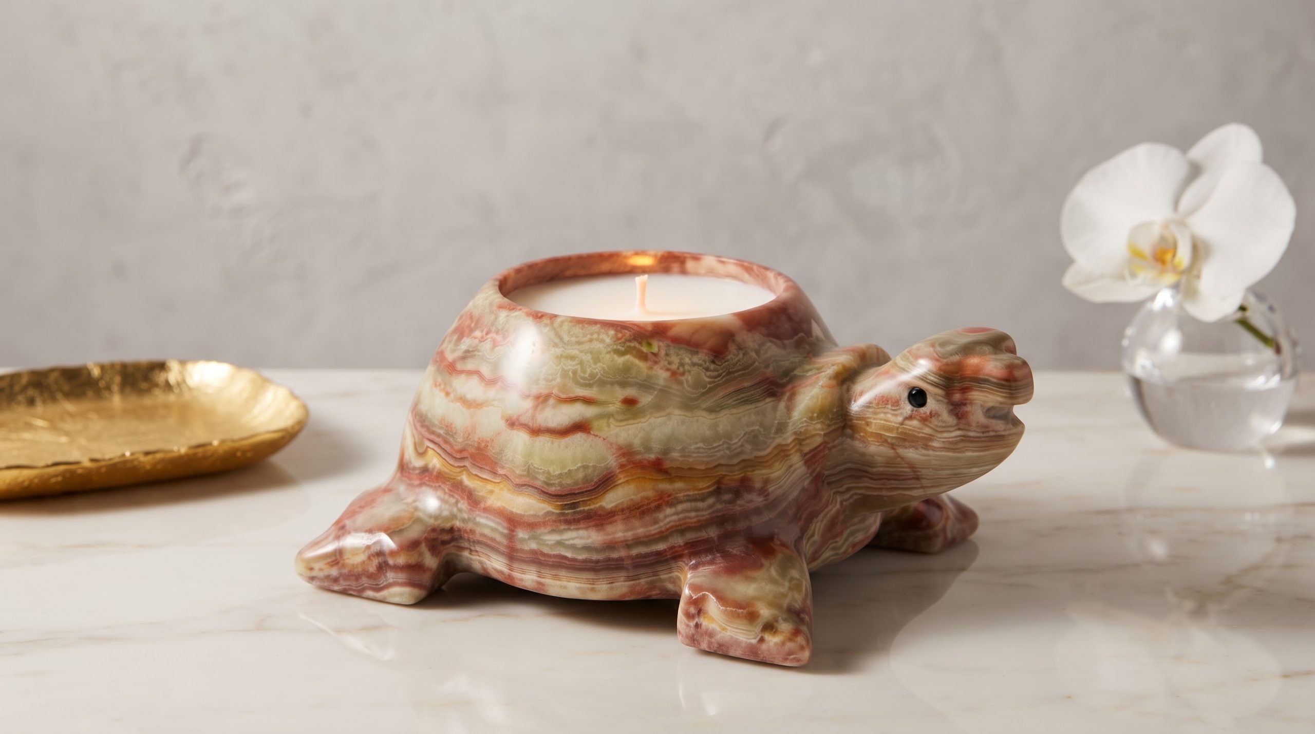 Onyx Turtle