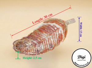 Leaf-Tray-Dimension-4-300×224